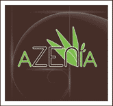 Azenia Institut de beauté et de Massage à Metz